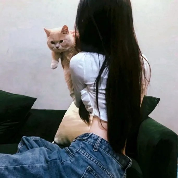 出走